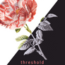 Threshold by Julie Howd