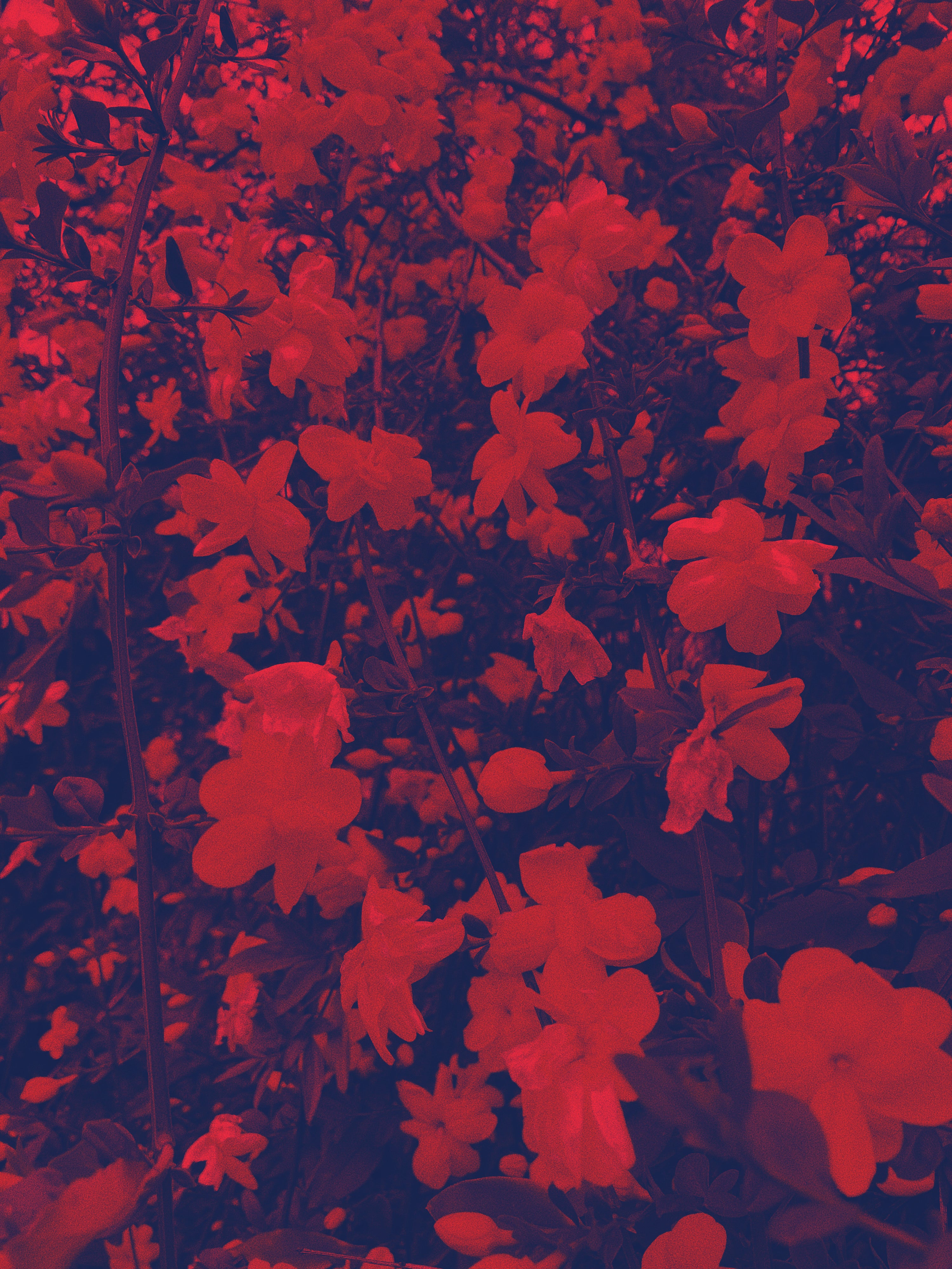 You Are Not Alone: Financial Resources for Writers