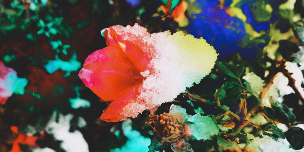 May This Be Love: A playlist to Begin 2021