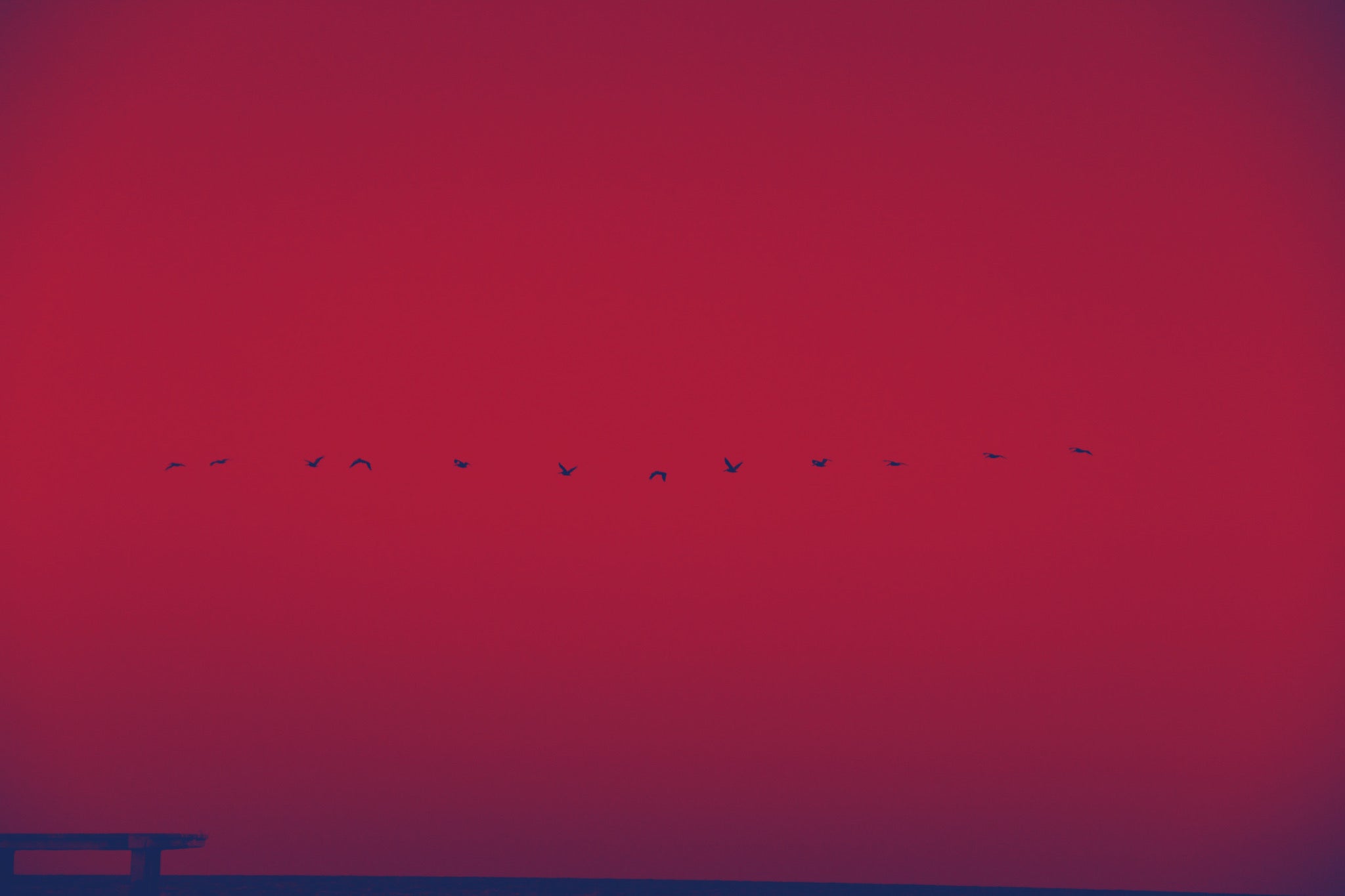 You Are Not Alone: A Reading List for Dissidence by mónica teresa ortiz