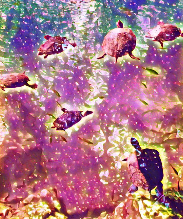 Sunlit Pool of Voices : A Summer's End Playlist