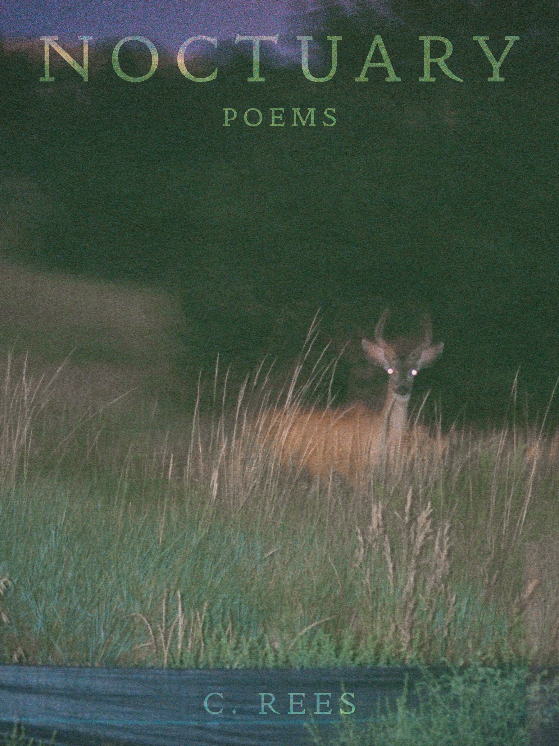 NOCTUARY by C. Rees