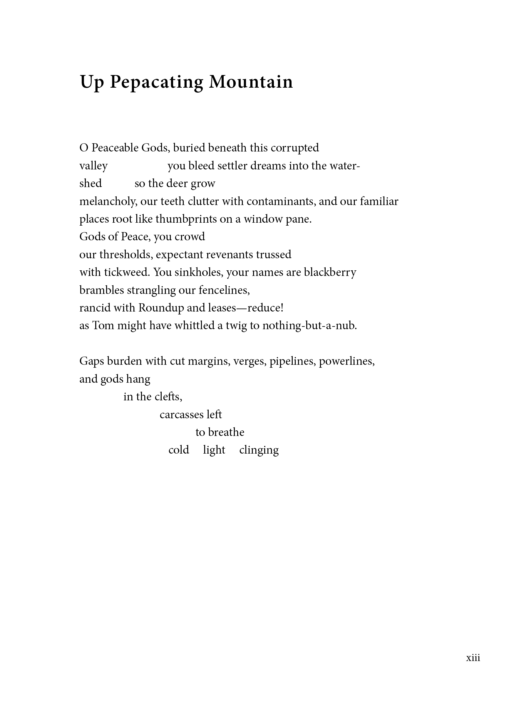 NOCTUARY by C. Rees