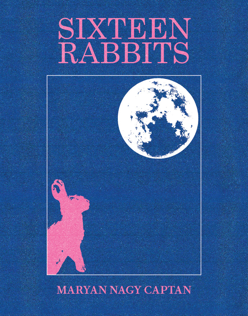 Sixteen Rabbits by Maryan Nagy Captan