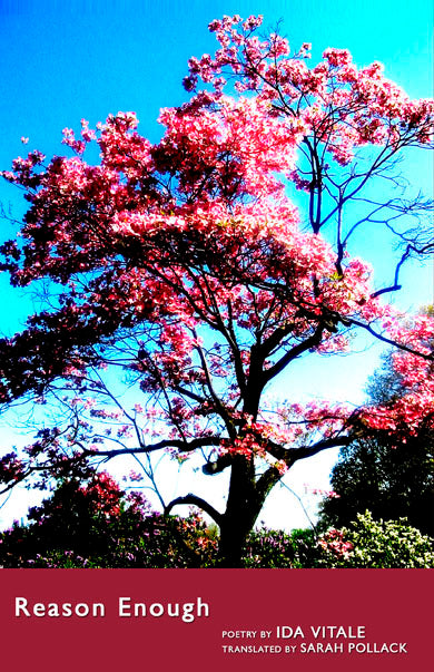 Reason Enough by Ida Vitale